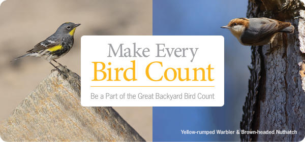 Make Every Bird Count