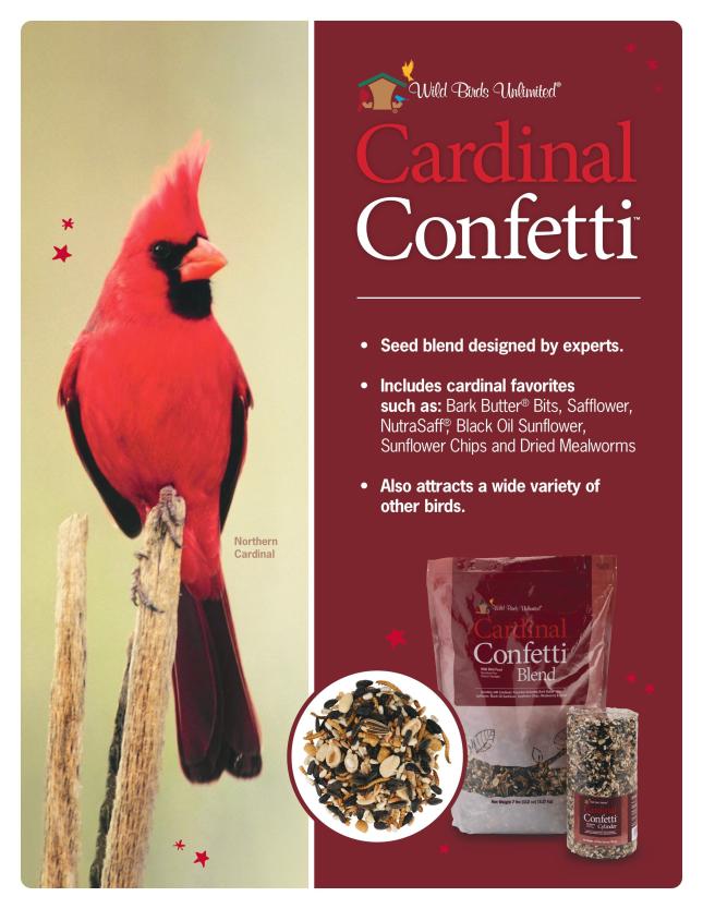 Cardinal confetti